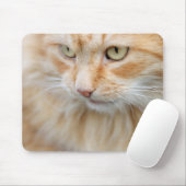 Tapis De Souris Chat, nature, chaton (Avec souris)