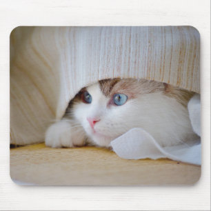 Tapis De Souris Chat, Nature, Kitten