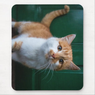 Tapis De Souris chat, nature, porte d'entrée