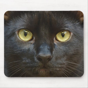 Tapis De Souris chat noir