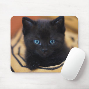Tapis De Souris chat noir