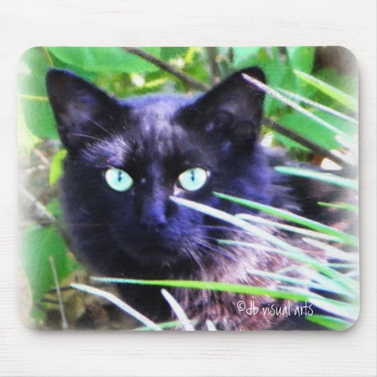 Tapis De Souris Chat noir aux yeux verts frappants (Devant)