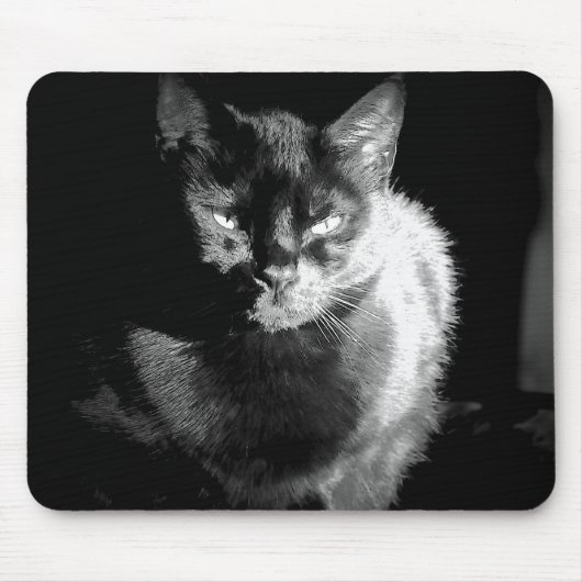 Tapis De Souris Chat noir brillant (Devant)