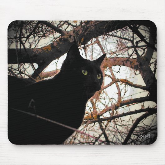 Tapis De Souris Chat noir dans un arbre Éffrayant (Devant)