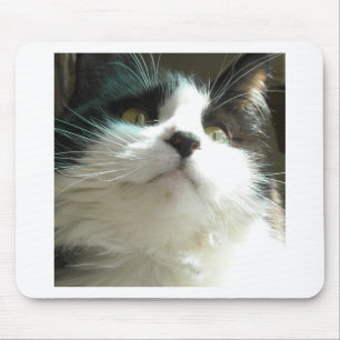 Tapis De Souris Chat noir et blanc