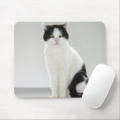 Tapis De Souris Chat noir et blanc aux yeux verts brillants (Avec souris)