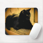 Tapis De Souris Chat noir et orange (Avec souris)