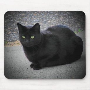 Tapis De Souris Chat noir pris dans un rayon de lune