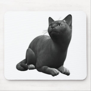 Tapis de souris Chat Noir Tranquille