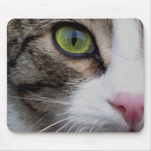 Tapis De Souris Chat observé sauvage Mausepad