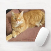 Tapis De Souris chat orange (Avec souris)