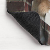 Tapis De Souris Chat orange (Coin)