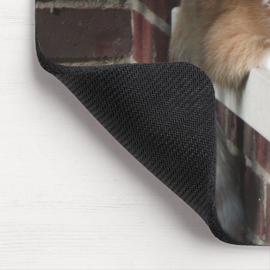 Tapis De Souris Chat orange (Coin)