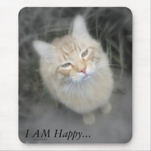 Tapis De Souris Chat orange humoristique Mousepad