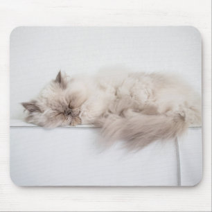 Tapis De Souris Chat persan