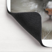 Tapis De Souris Chat persan de chinchilla (Coin)