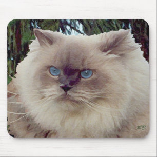 Tapis De Souris Chat Persan Himalayen