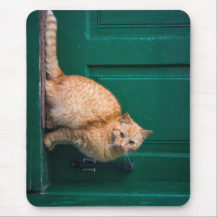 Tapis De Souris chat, porte d'entrée, animal