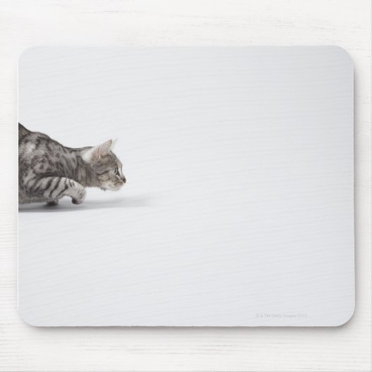 Tapis De Souris Chat prêt à rebondir (Devant)