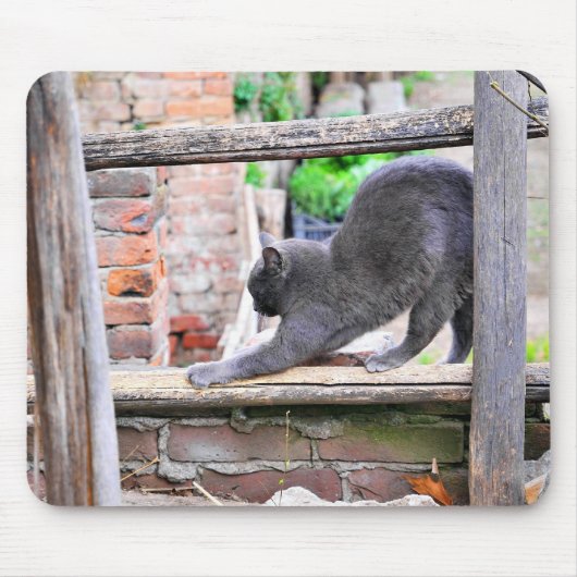 Tapis De Souris Chat qui s'étire (Devant)