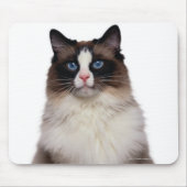 Tapis De Souris Chat Ragdoll (Devant)