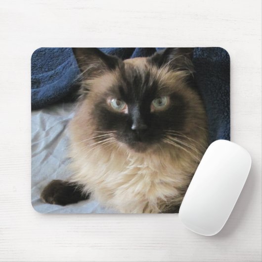 Tapis De Souris Chat Ragdoll (Avec souris)