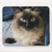 Tapis De Souris Chat Ragdoll (Devant)
