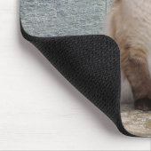 Tapis De Souris Chat, Siamese, Animal (Coin)