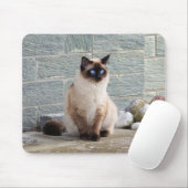 Tapis De Souris Chat, Siamese, Animal (Avec souris)