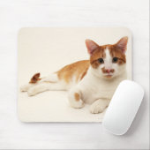 Tapis De Souris Chat sur arrière - plan blanc (Avec souris)