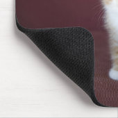 Tapis De Souris Chat sur canapé (Coin)