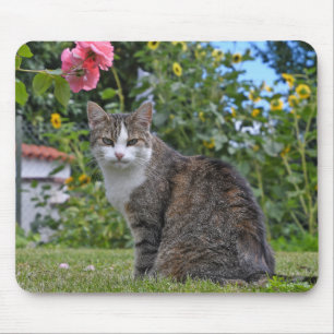 Tapis De Souris chat tabby dans le jardin