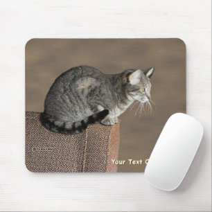 Tapis De Souris Chat Tabby Gris Fumé