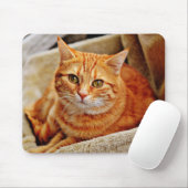 Tapis De Souris chat, tabby, nature (Avec souris)