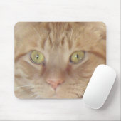 Tapis De Souris Chat Tabby Orange (Avec souris)