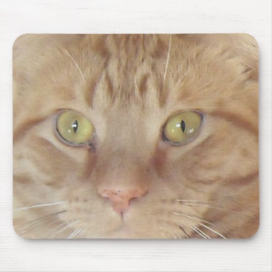 Tapis De Souris Chat Tabby Orange (Devant)