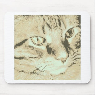 Tapis De Souris Chat Tabby Orange