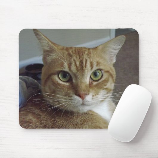 Tapis De Souris Chat tigré orange Mousepad (Avec souris)