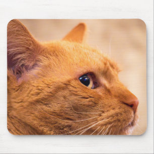 Tapis de Souris Chat Tigre Orange Portrait Fémin