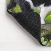 Tapis De Souris Chat tuxedo mignon sur une branche d'arbre avec de (Coin)