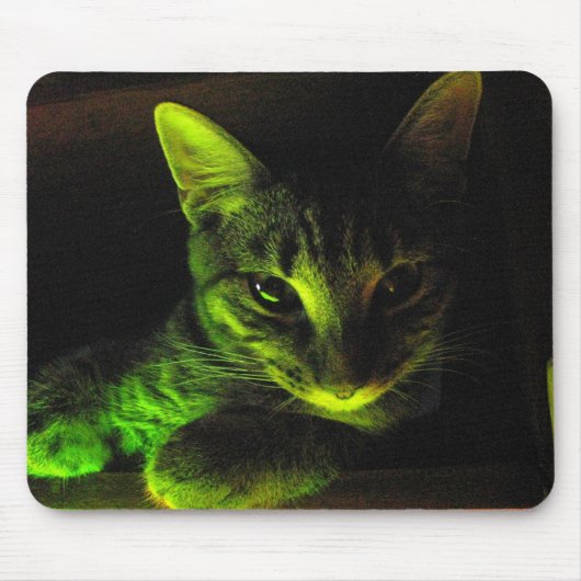 Tapis De Souris Chat vert Mousepad (Devant)