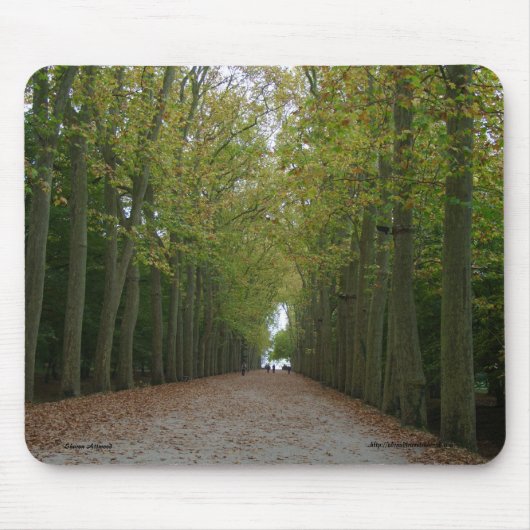 Tapis De Souris Chateau de Chenonceau Mousepad (Devant)