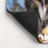 Tapis De Souris Chaton 1 d'écaille (Coin)