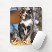 Tapis De Souris Chaton 1 d'écaille (Avec souris)