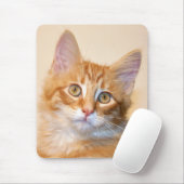 Tapis De Souris Chaton à table orange (Avec souris)