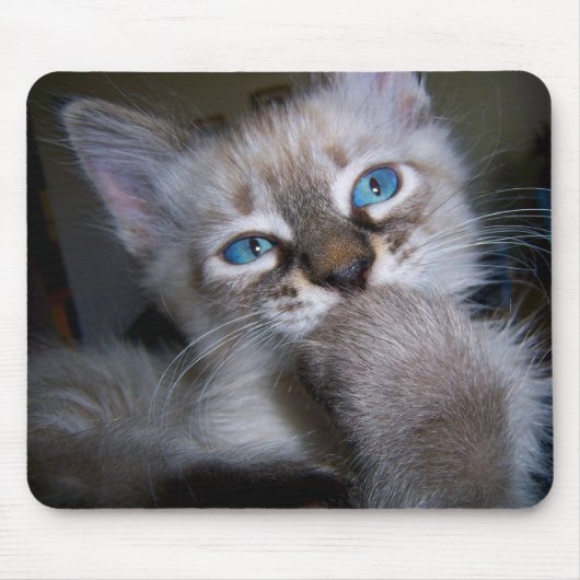 Tapis De Souris Chaton aux yeux bleus Mousepad de penseur (Devant)