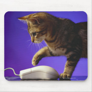 Tapis De Souris Chaton avec la souris d'ordinateur