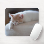 Tapis De Souris Chaton beige et blanc fatigué (Avec souris)