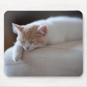 Tapis De Souris Chaton beige et blanc fatigué