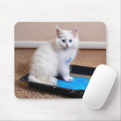 Tapis De Souris Chaton Blanc En Bac À Peinture (Avec souris)